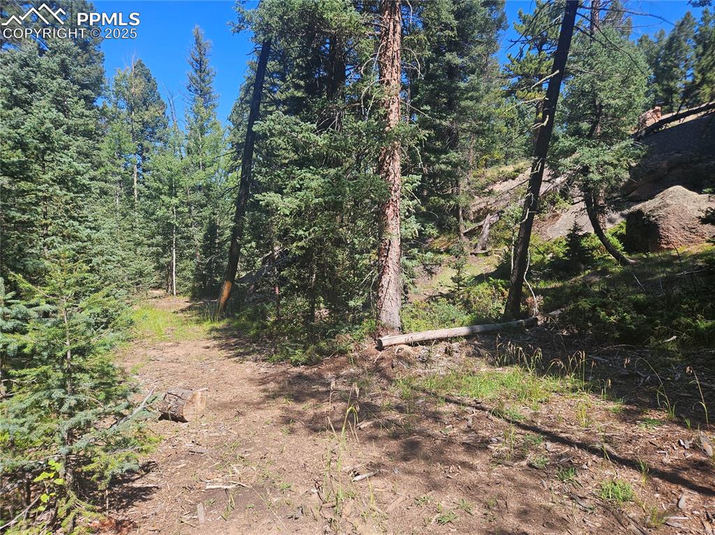 Image 26 of 43: Other