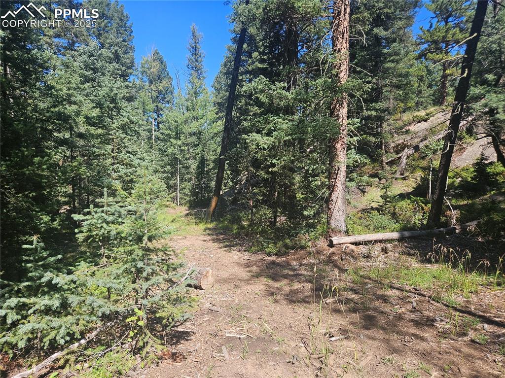 Image 27 of 43: Other