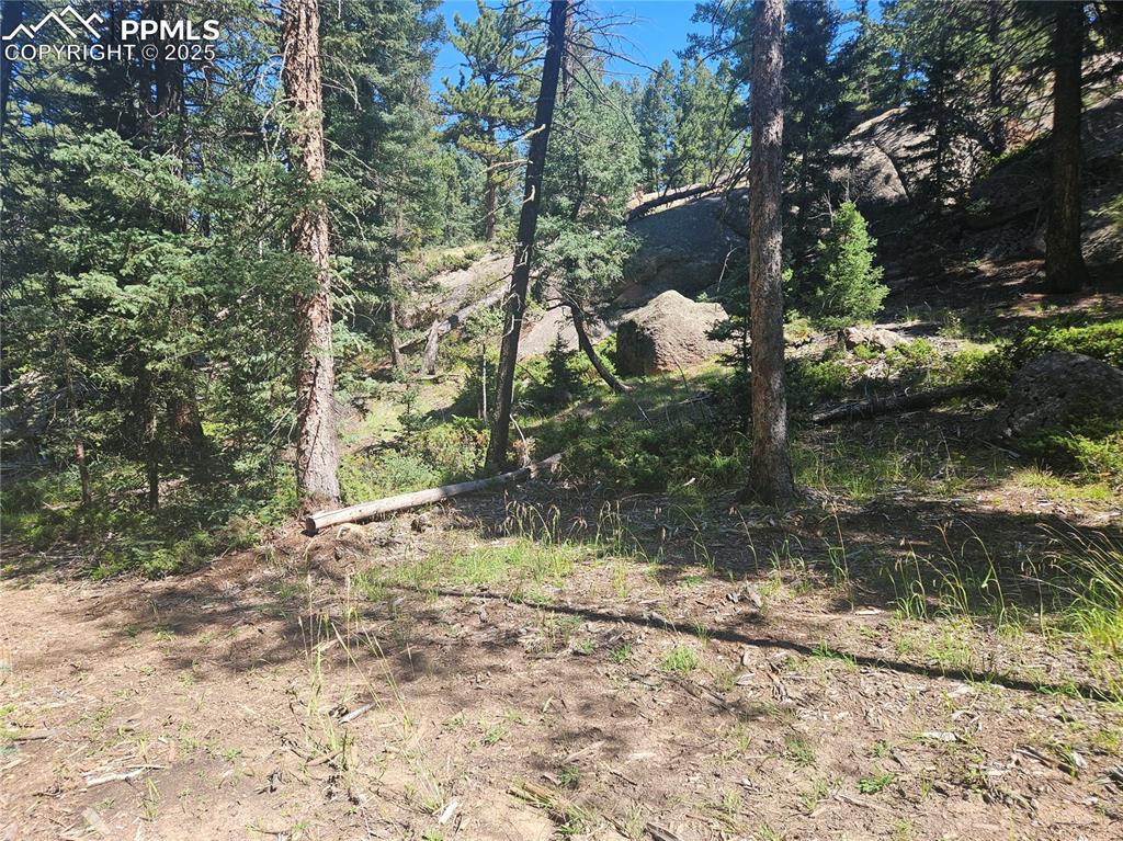 Image 28 of 43: Other