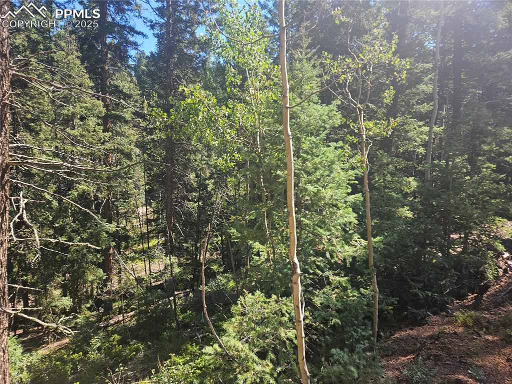 Image 29 of 43: Other