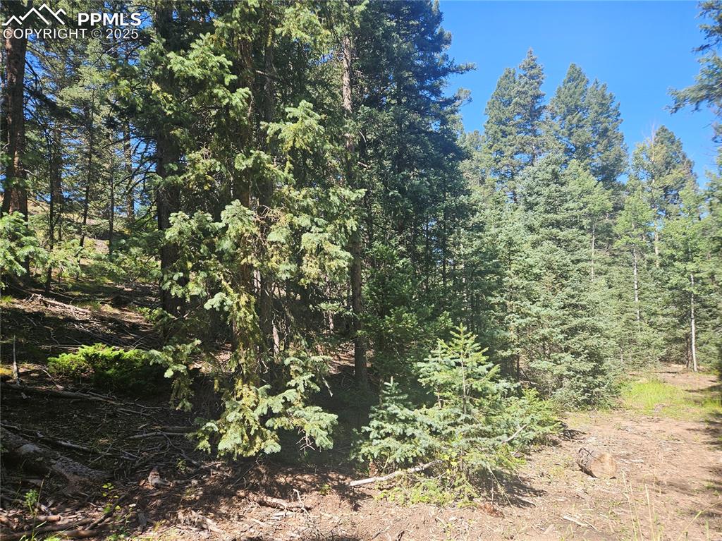 Image 3 of 43: Other