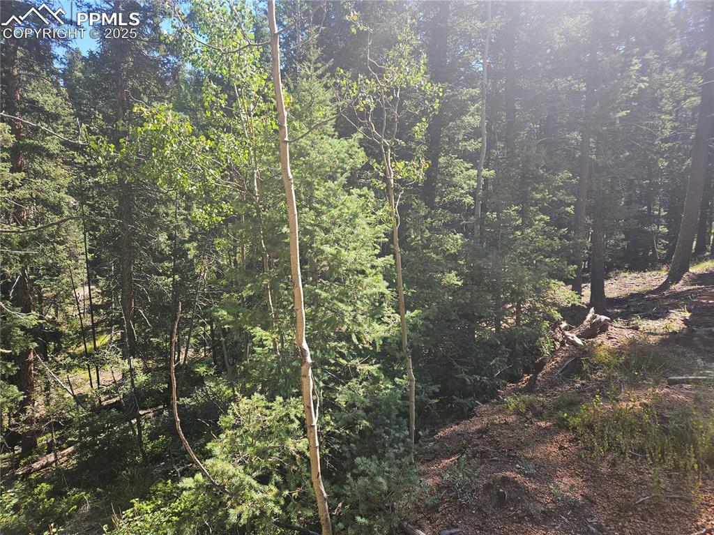 Image 31 of 43: Other