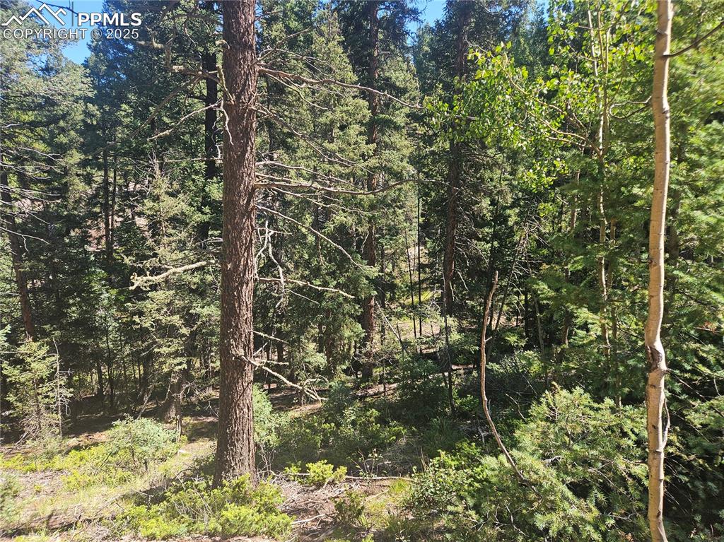 Image 32 of 43: Other