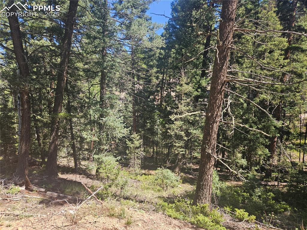 Image 33 of 43: Other