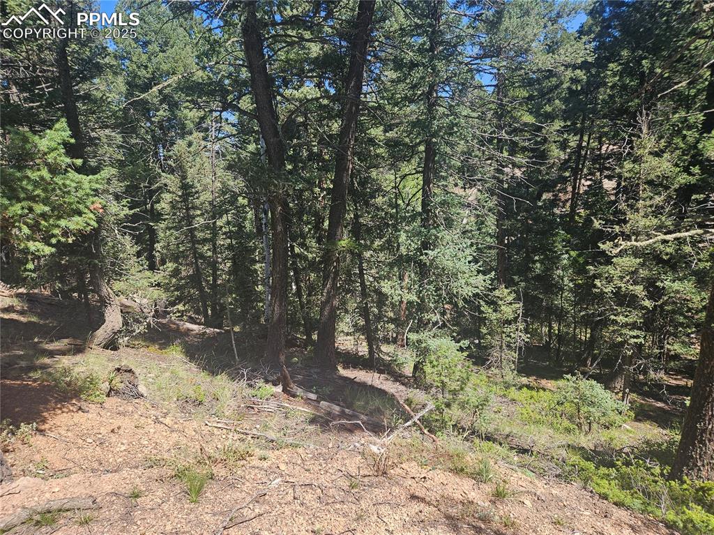 Image 34 of 43: Other