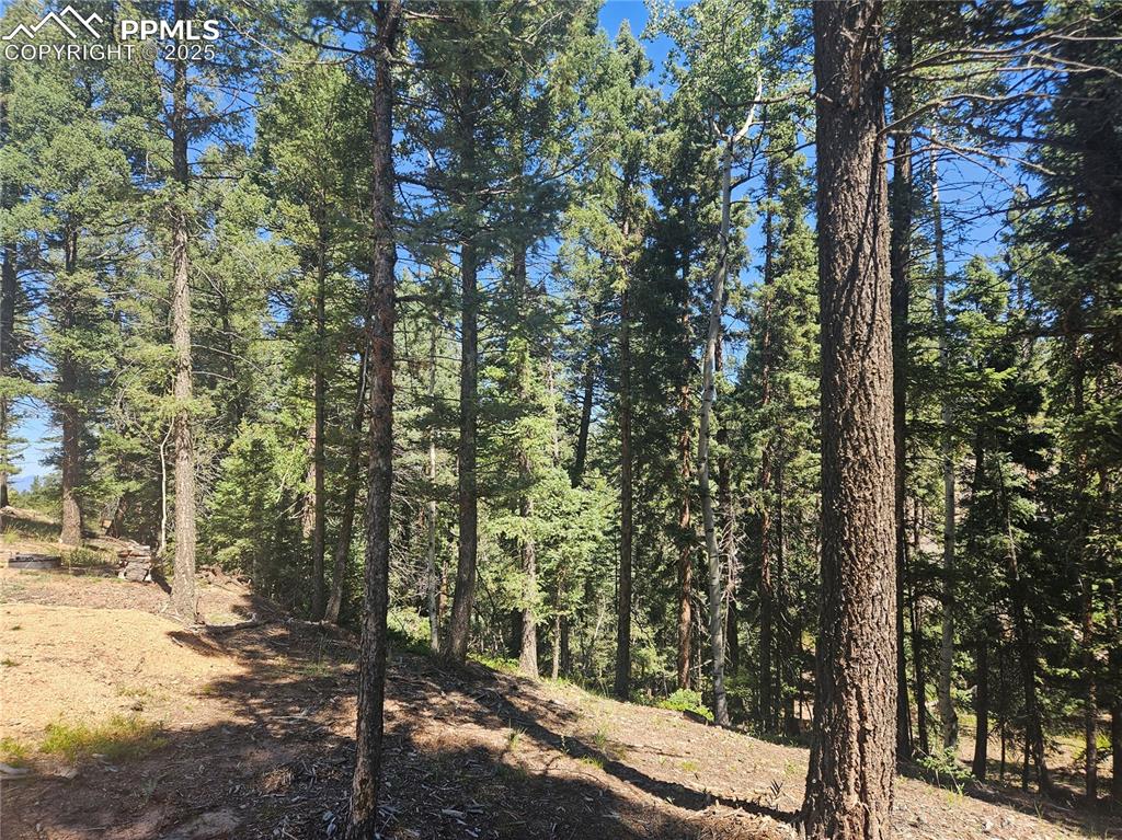 Image 36 of 43: Other