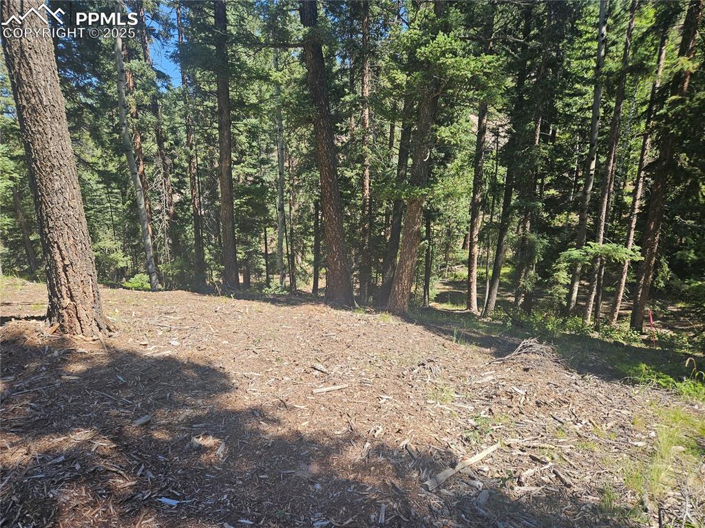 Image 37 of 43: Other