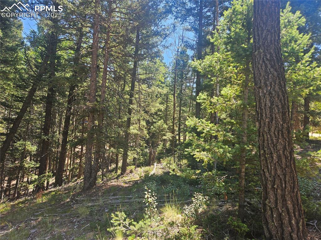 Image 39 of 43: Other