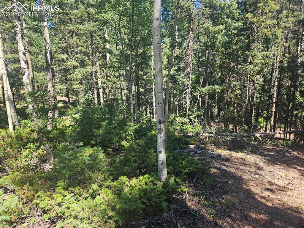 Image 4 of 43: Other