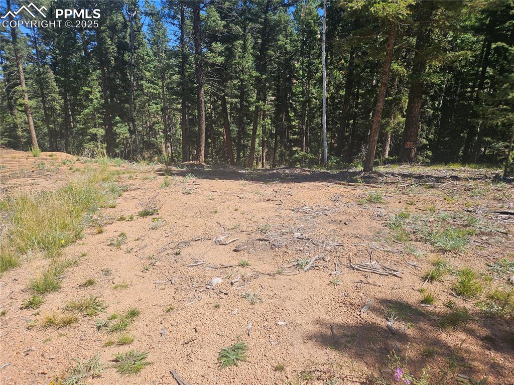 Image 40 of 43: Other