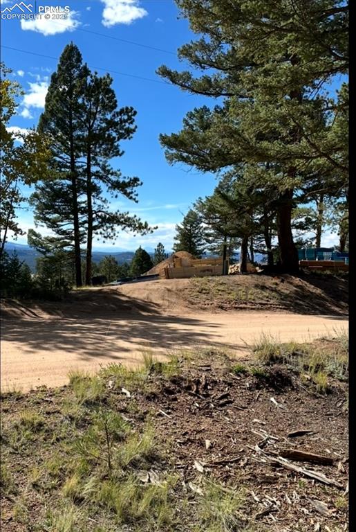 Image 42 of 43: Yard