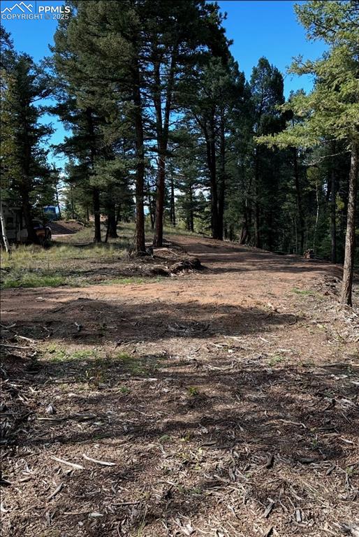 Image 43 of 43: Yard