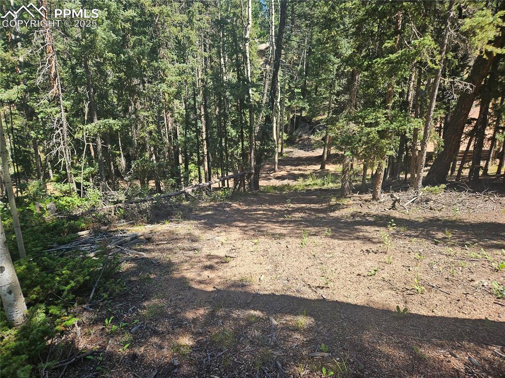 Image 5 of 43: Other