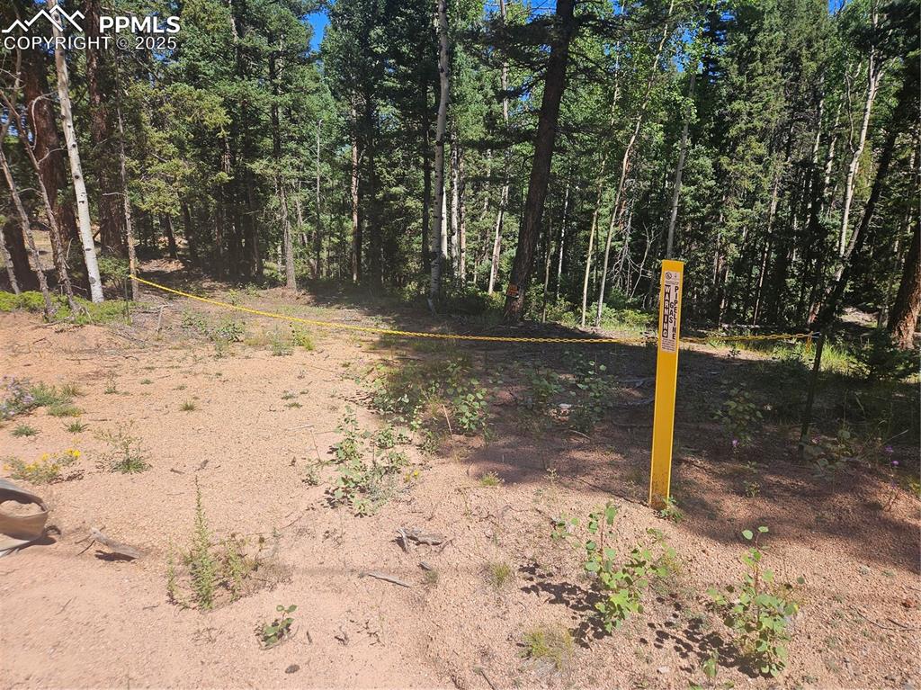 Image 6 of 43: Other