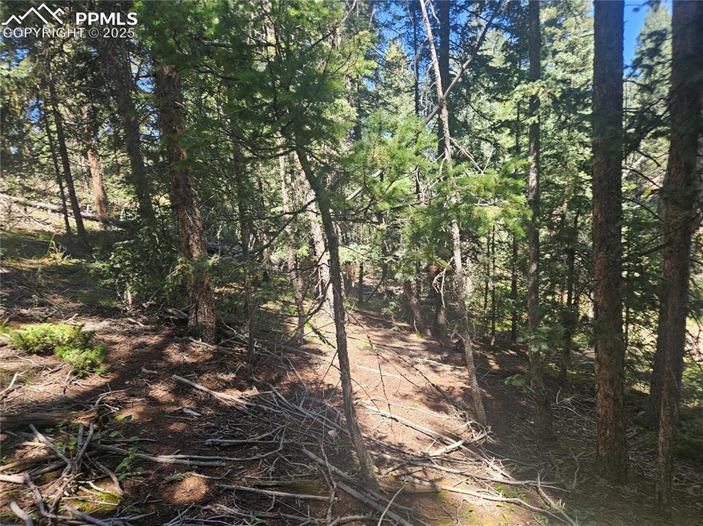 Image 8 of 43: Other