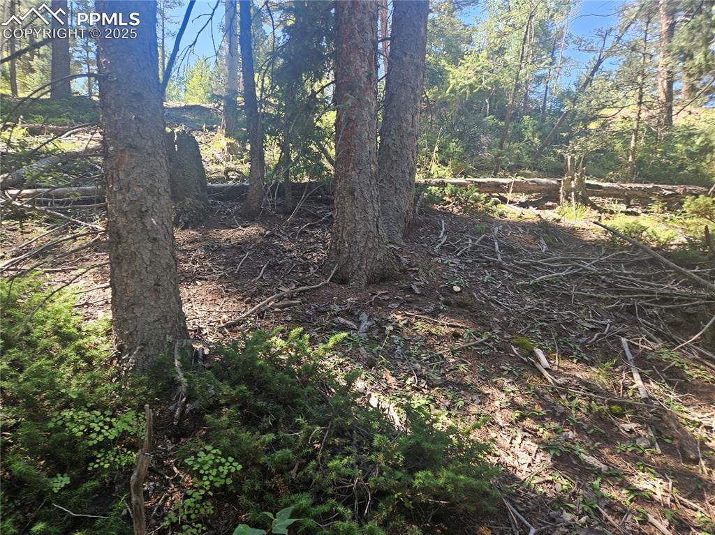 Image 9 of 43: Other