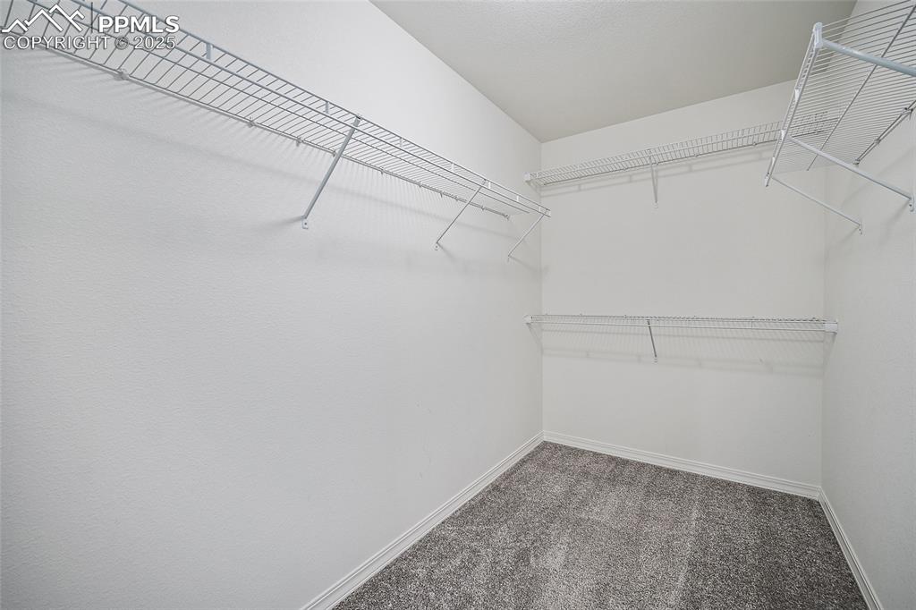 Image 5 of 50: Walk in closet with carpet flooring