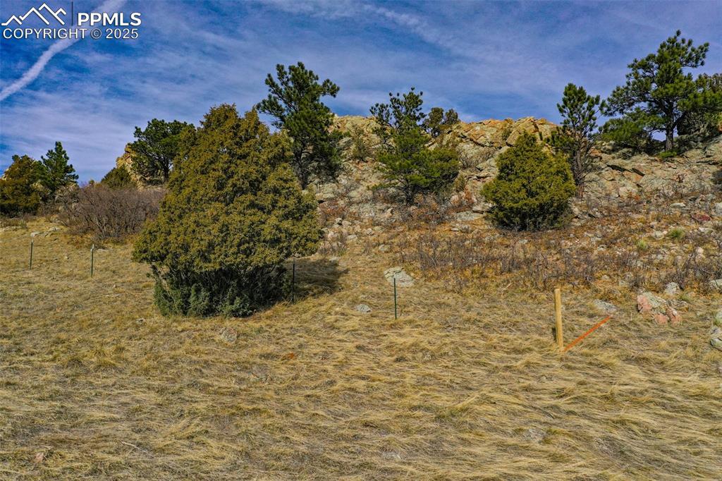 Image 28 of 38: Other