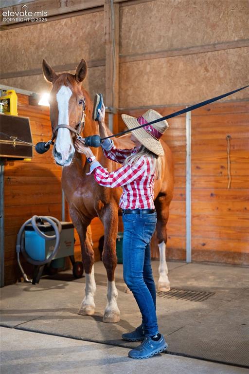 Image 39 of 46: The barn has three tacks rooms, one with a lounge featuring a bathroom with