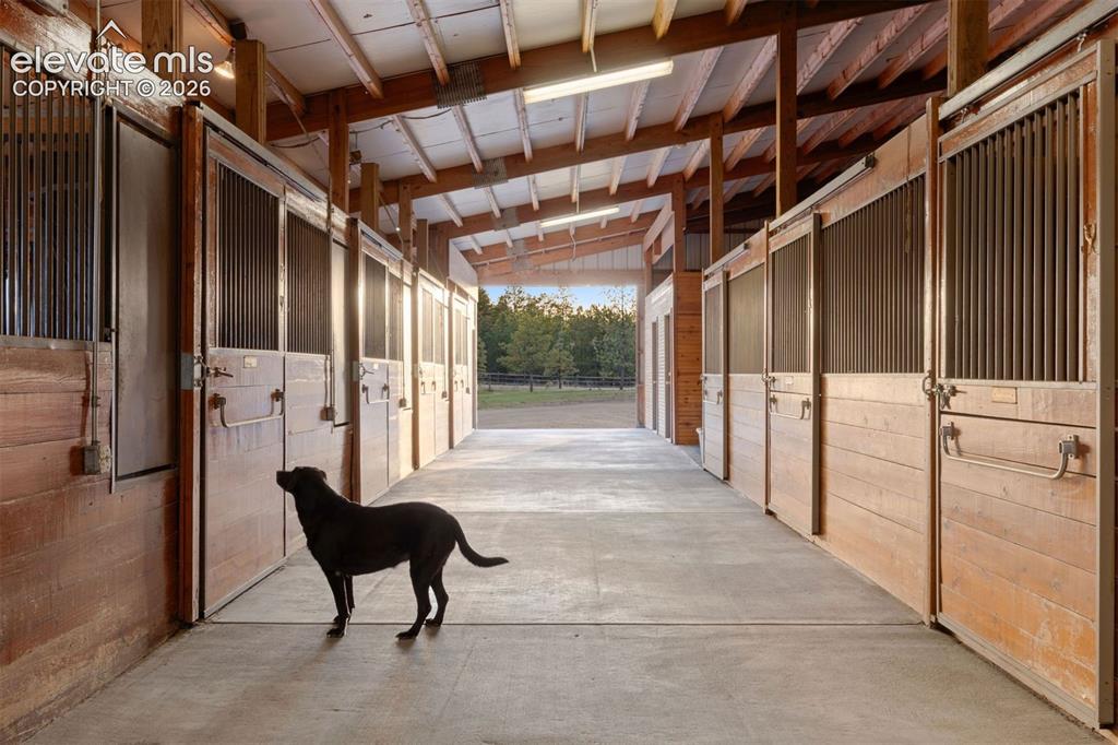 Image 7 of 46: The barn features 20 stalls, 12 heated, 2 wash stalls and 3 grooming stalls