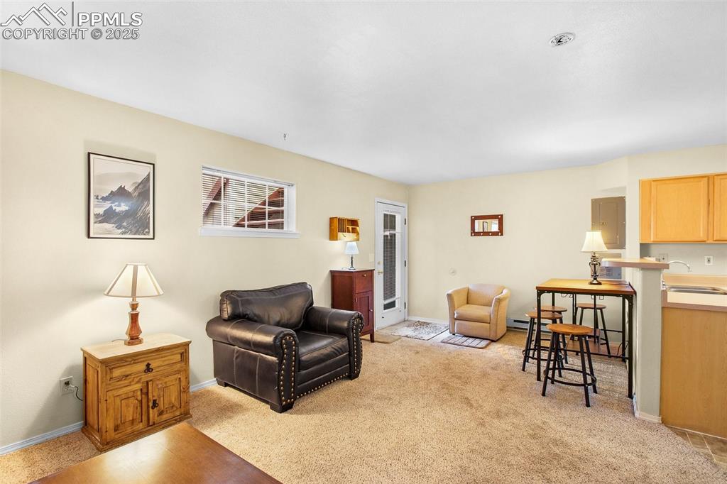 Image 15 of 29: Living Room