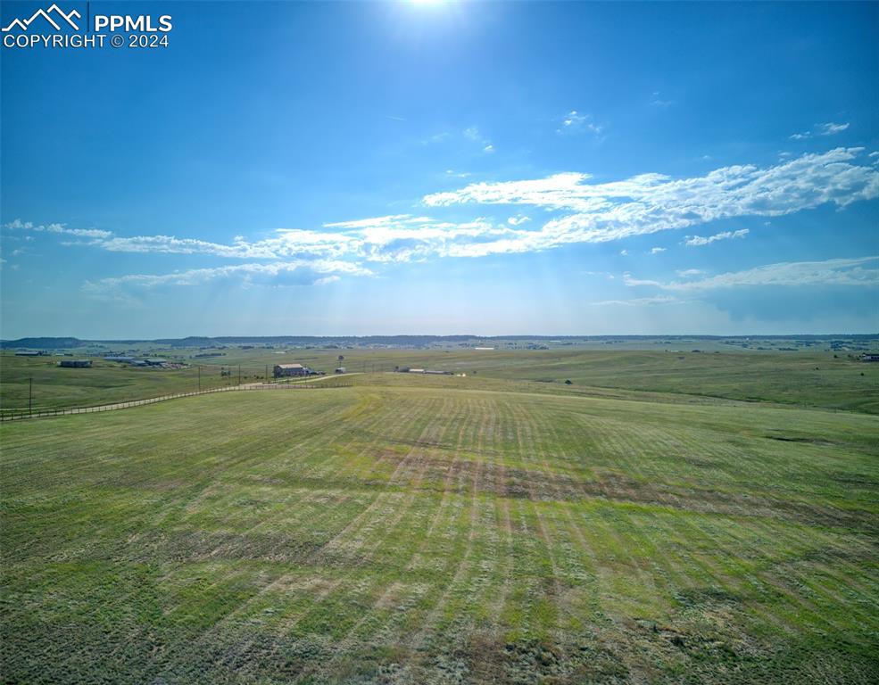 Image 12 of 15: Bird