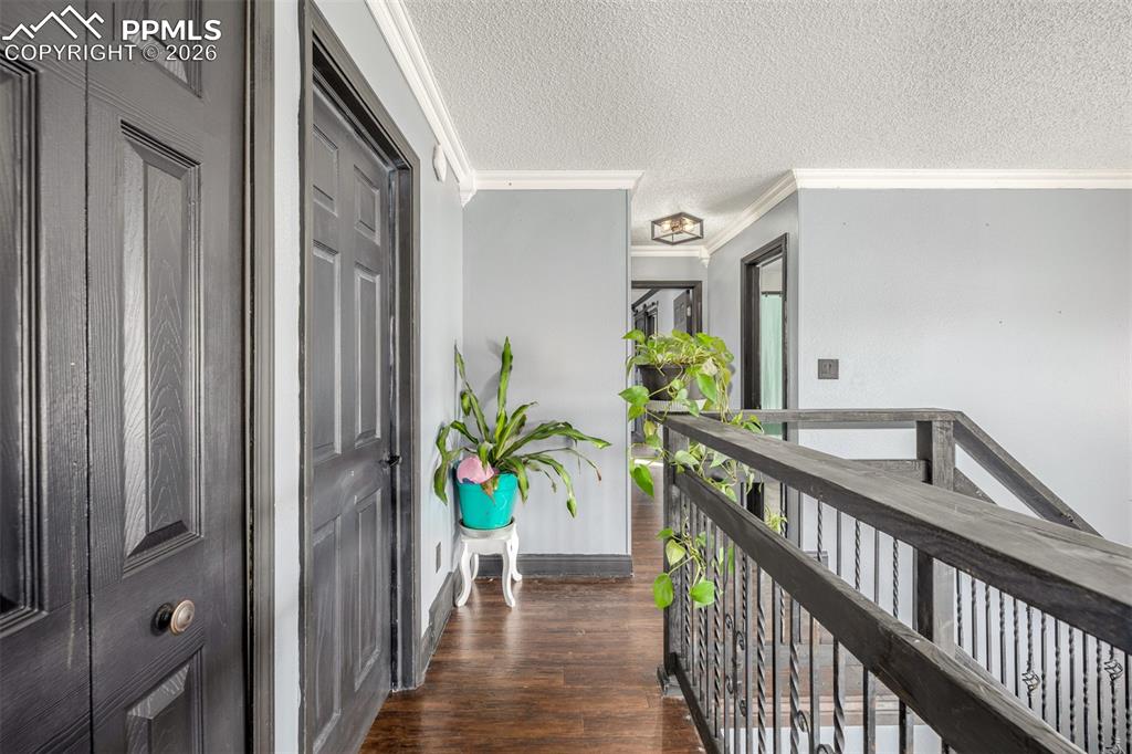 Image 19 of 50: Other