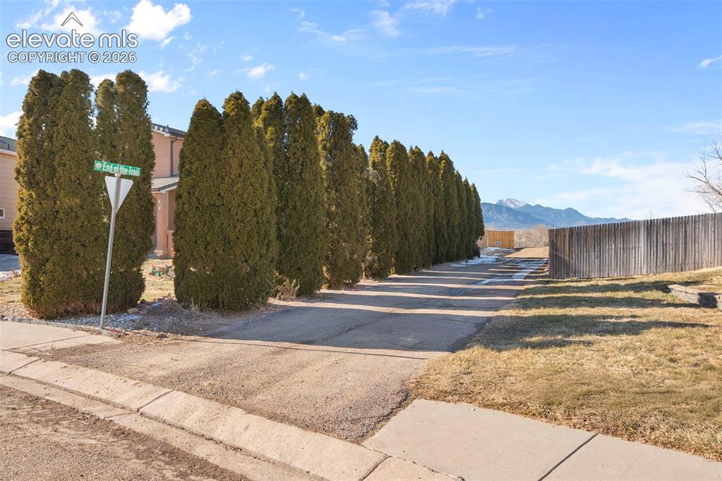 Image 48 of 49: Expansive lot featuring a row of mature evergreen trees, a wood privacy fen