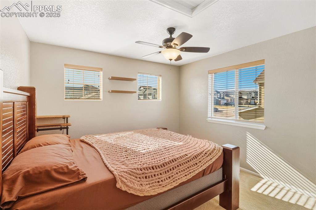 Image 18 of 33: Bedroom featuring multiple windows, ceiling fan, carpet flooring, and a tex
