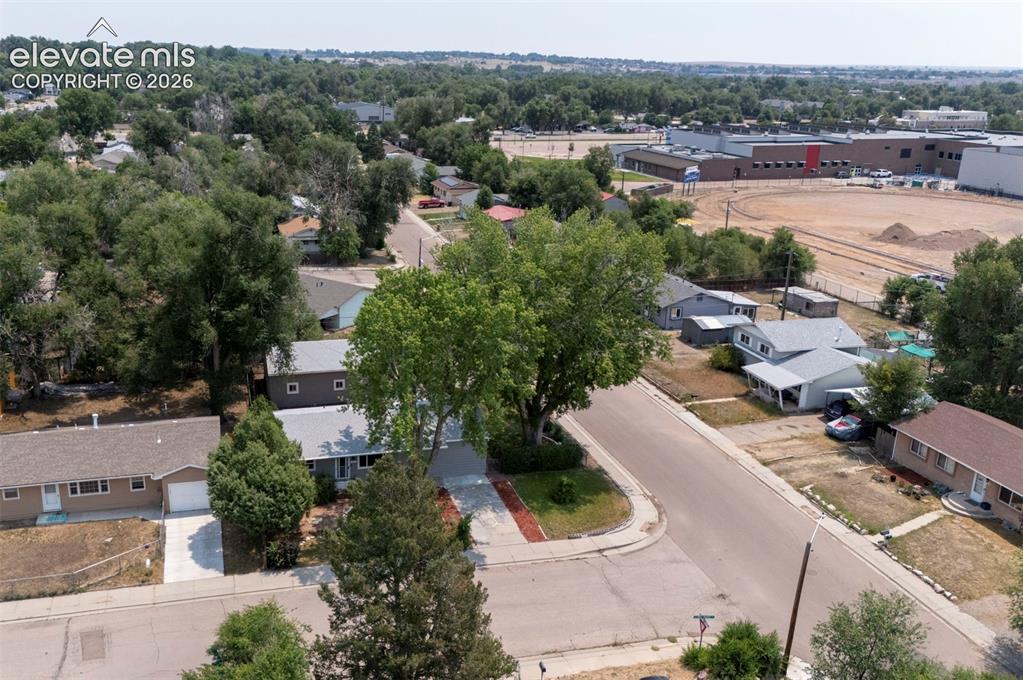 Image 34 of 40: Residential neighborhood featuring mature trees and established homes