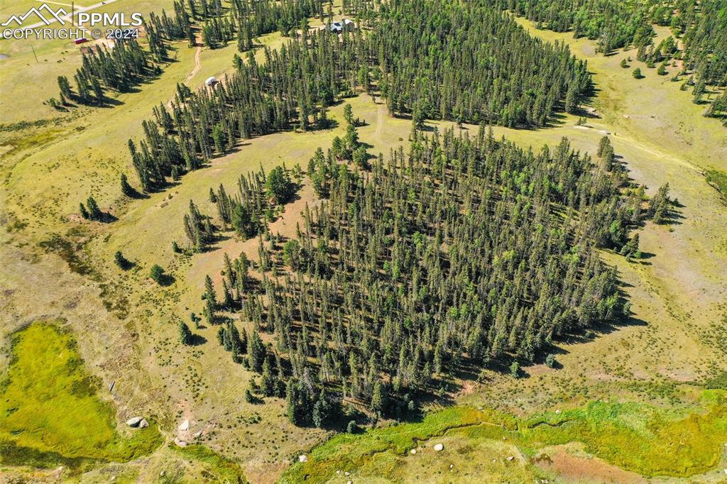 Image 46 of 50: Aerial View