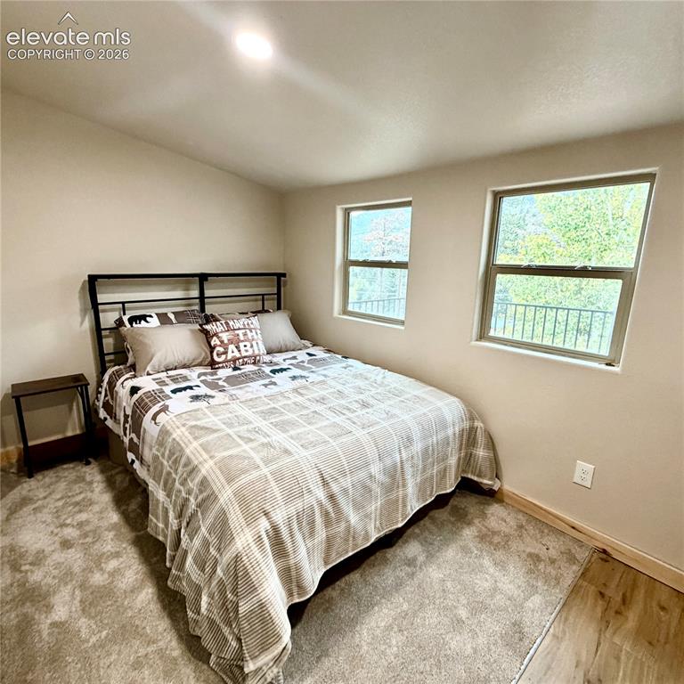 Image 21 of 45: Carpeted flooring, two windows, wood-finish flooring