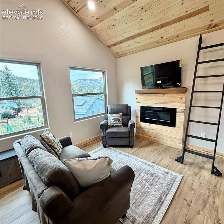 Image 3 of 45: Vaulted wood-finish ceiling, wood-finish flooring, built-in electric firepl