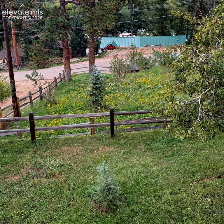 Image 34 of 45: Tree park behind the cabin