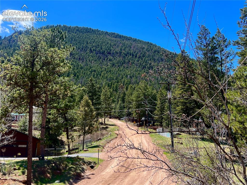 Image 40 of 45: Road in front of cabin