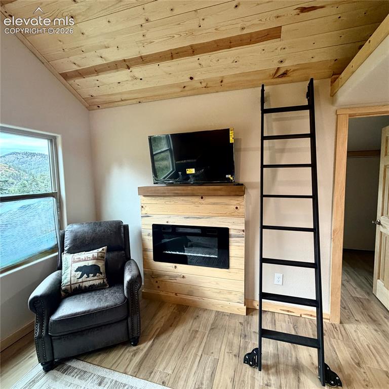 Image 6 of 45: Sloped wood-planked ceiling, wood-finish flooring, built-in electric firepl