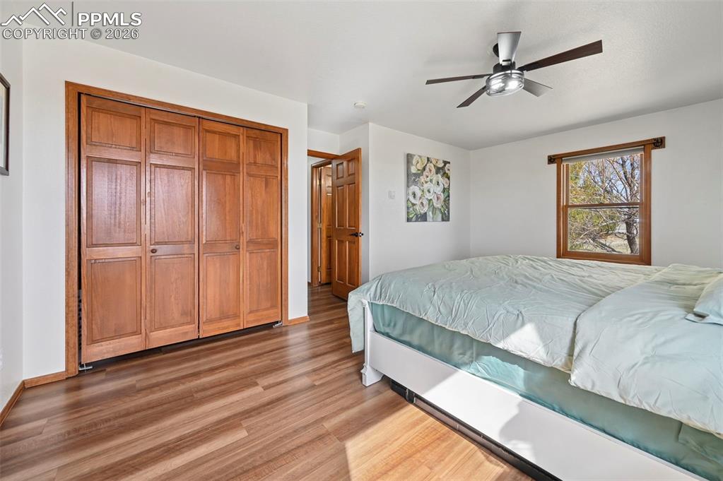 Image 16 of 49: New LVP flooring and ceiling fan