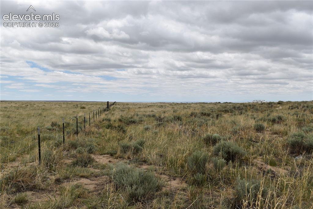 Image 14 of 16: Other