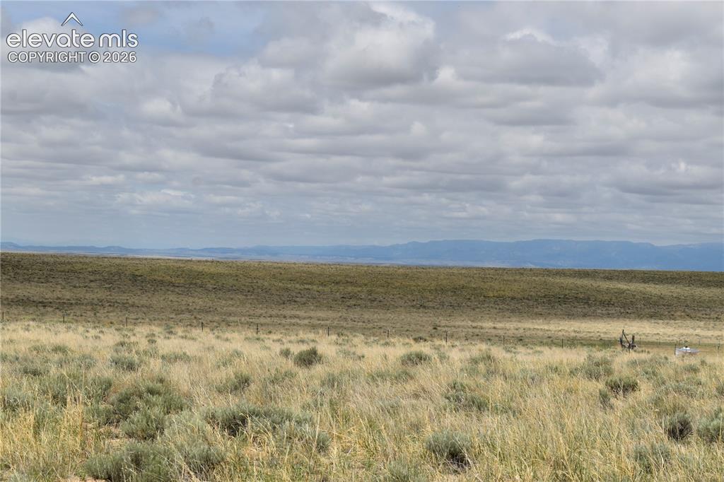 Image 3 of 16: view of Pikes Peak from driveway