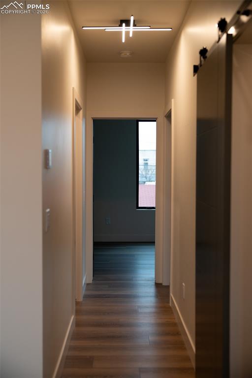 Image 8 of 50: Other