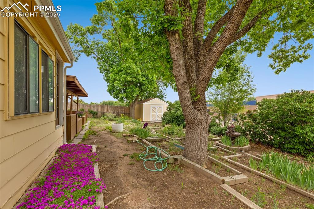Image 42 of 46: Yard