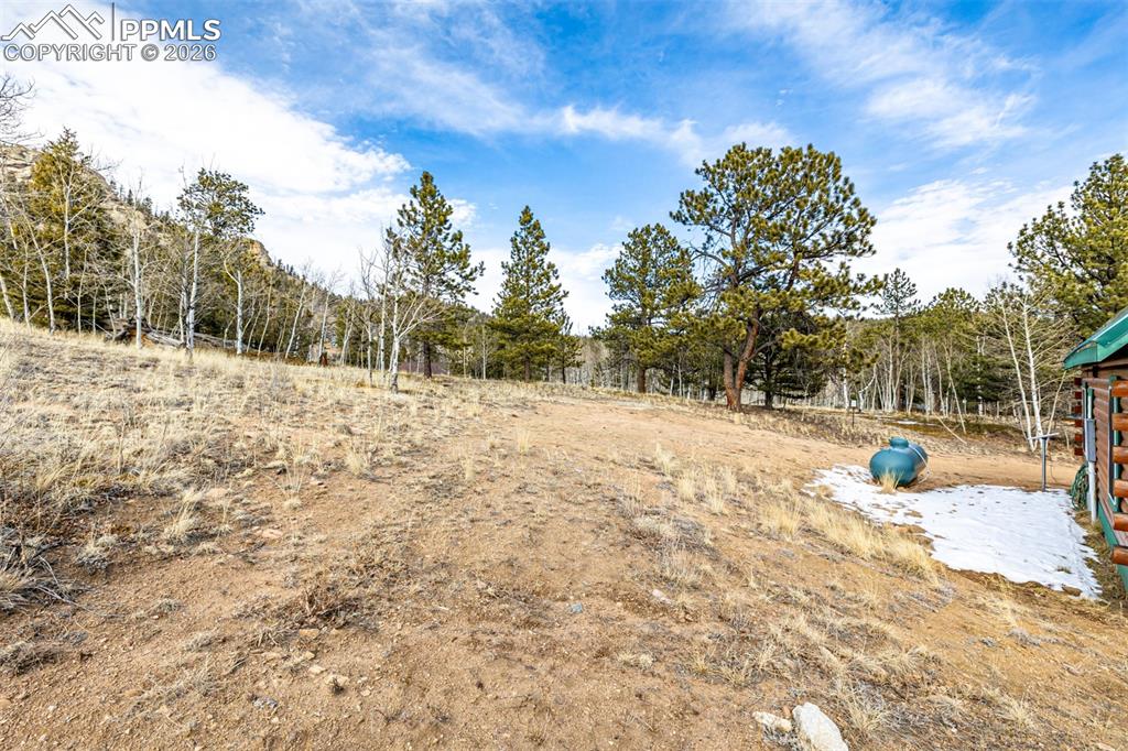 Image 32 of 35: View of yard