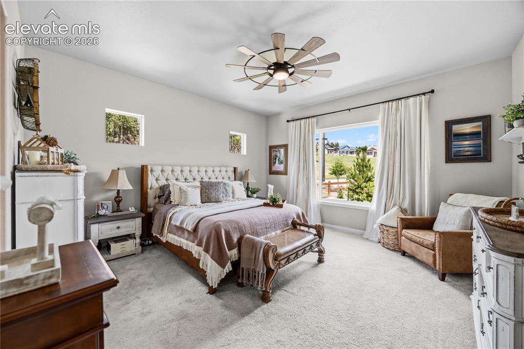 Image 16 of 50: Bright bedroom featuring soft gray carpeting and light-toned walls