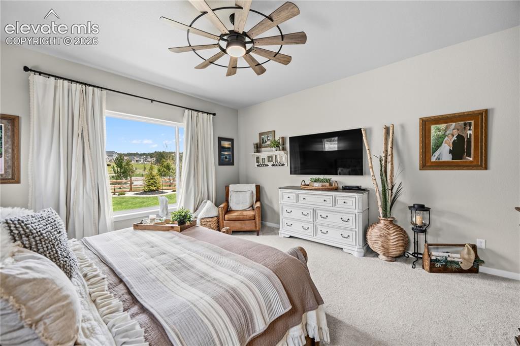 Image 17 of 50: Spacious bedroom featuring light-colored walls and soft carpet flooring