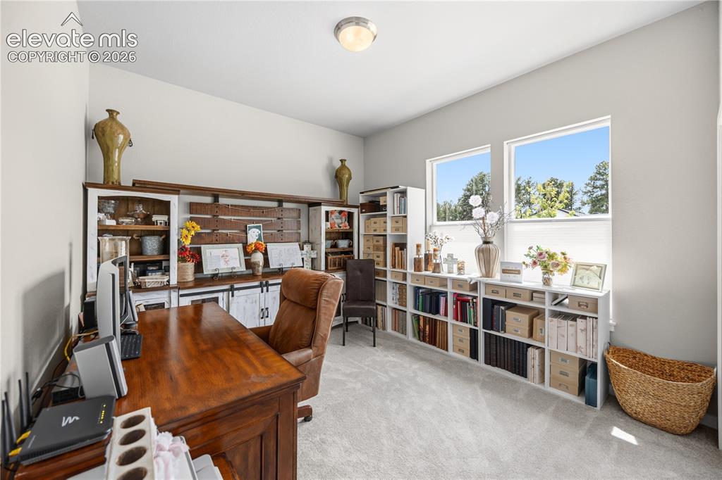 Image 23 of 50: Spacious room with light gray walls, plush carpet flooring, two large windo