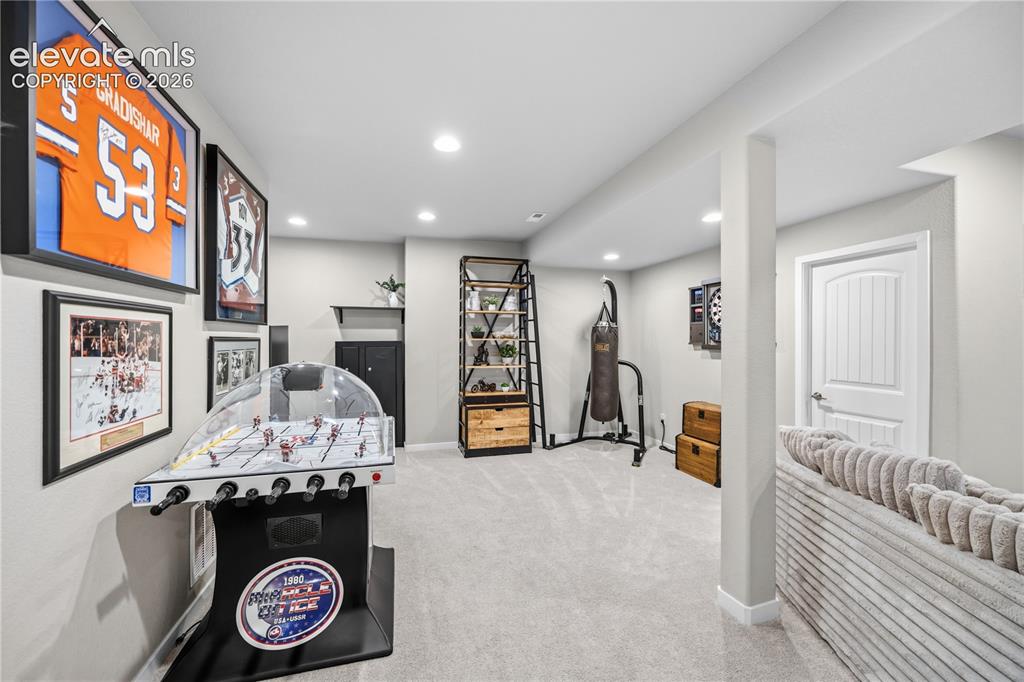 Image 36 of 50: Finished lower-level space featuring light gray carpet flooring and recesse