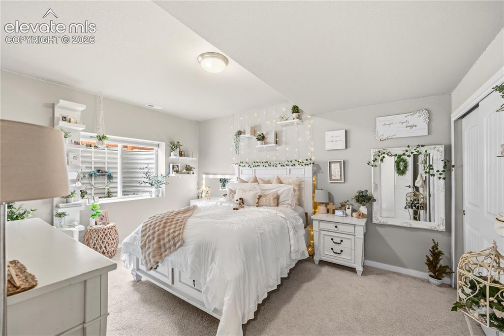 Image 37 of 50: Bedroom featuring light gray walls, plush carpet, and a white ceiling