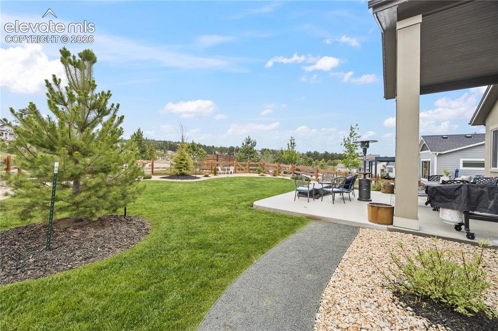 Image 45 of 50: Expansive backyard featuring a lush lawn, mature evergreen tree, and decora