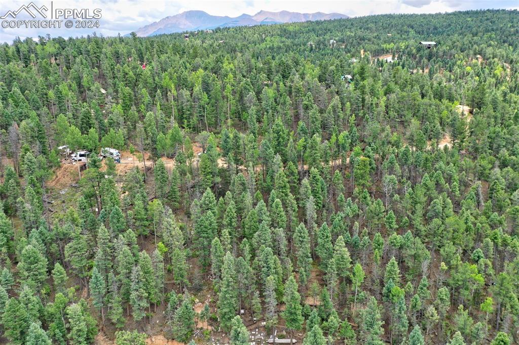 Image 10 of 25: Aerial View