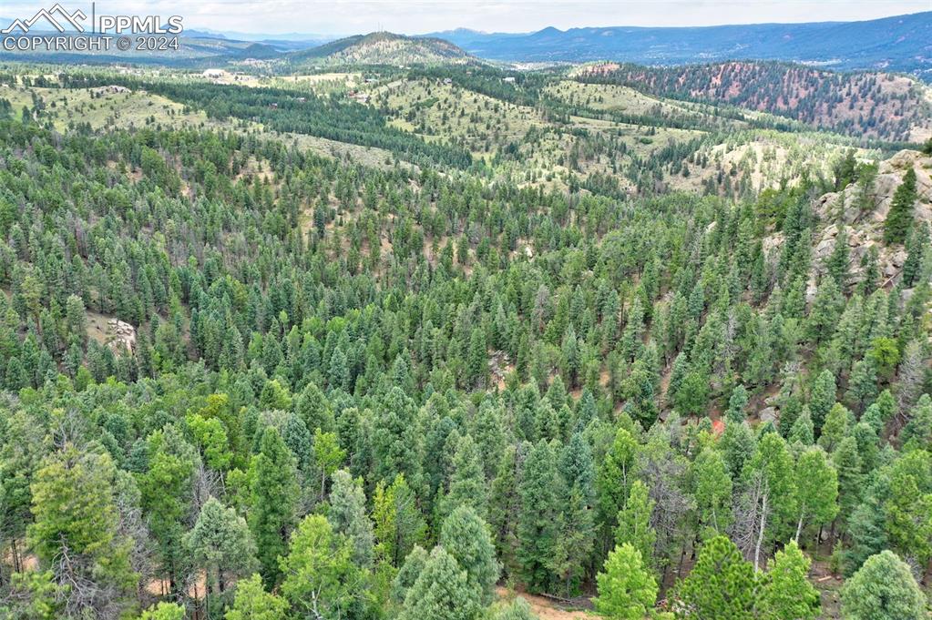 Image 15 of 25: Aerial View